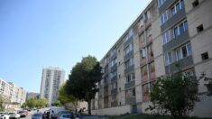 Une jeune femme en état de mort cérébrale, nouvelle victime de la guerre des gangs à Marseille