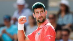 Novak Djokovic au poste de directeur de l’Organisation mondiale de la santé