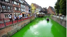 Colmar: un militant d’Extinction Rebellion déverse un colorant fluo dans la rivière, des poissons retrouvés morts