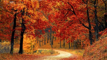 Pourquoi l’automne commence-t-il vraiment le 23 septembre, et pas le 21  ?