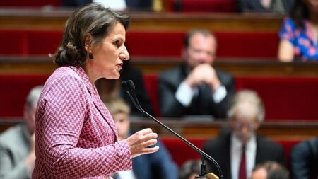 Coalition contre le Hamas: Valérie Rabault juge «désastreuse» la «méthode diplomatique» d’Emmanuel Macron