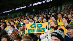 Mondial de rugby: le président de la Fédération australienne secoué par un supporter des Wallabies à Lyon