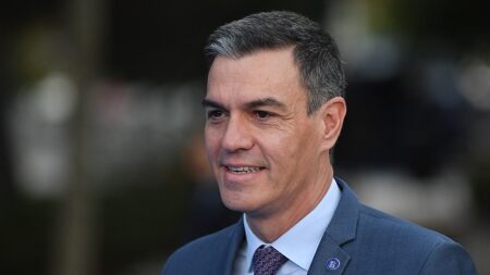 Le Premier ministre espagnol Pedro Sanchez hué au défilé de la fête nationale