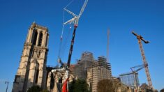 «Fabien y tenait»: les Bleus se sont ressourcés à Notre-Dame de Paris avant leur match face à l’Afrique du Sud