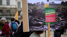 Glyphosate: un nouveau vote en novembre suite à l’échec des Vingt-Sept à s’entendre