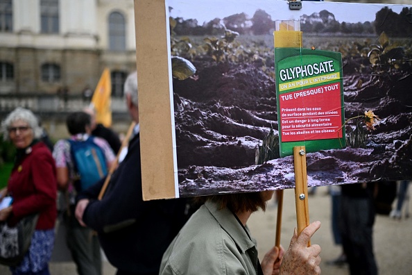 (Photo DAMIEN MEYER/AFP via Getty Images)