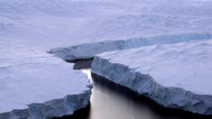 Un monde caché sous la glace de l’Antarctique, identique aux paysages de la surface de la terre