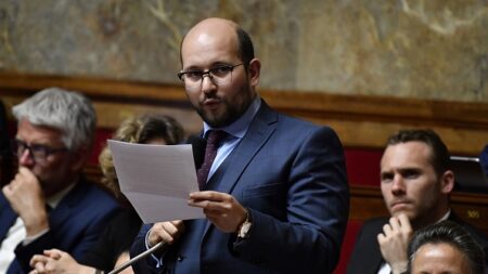 Un député Renaissance voudrait pouvoir imposer le fait d’entrer dans les logements pour traiter les punaises de lit