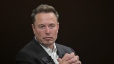 Musk annonce que les organisations humanitaires à Gaza auront accès à internet via Starlink