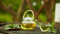 La tisane: un moyen sûr et sain de perdre du poids naturellement