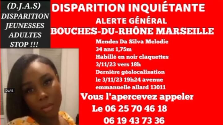 Mélodie Mendes da Silva, esthéticienne de 34 ans, mère de deux enfants, avait quitté son logement le 03 novembre 2023. (Photo capture d'écran X)