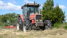 «On marche sur la tête»: des panneaux retournés dans de nombreuses communes en France, un phénomène qui s’étend