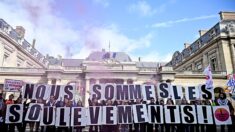 Le Conseil d’État annule la dissolution du collectif les Soulèvements de la Terre