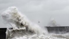 Tempête Ciaran: au moins 10 morts et les transports perturbés en Europe