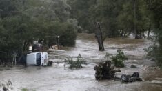 Tempêtes Ciaran et Domingos: premières estimations des dégâts et conditions d’indemnisation