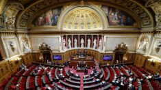 Programmation budgétaire: sans Élisabeth Borne, un nouveau 49.3 à l’Assemblée