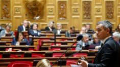 Loi immigration : le Sénat se penche sur les régularisations d’immigrés après la suppression de l’Aide médicale