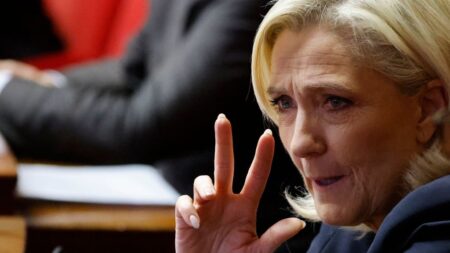 Législatives : Marine Le Pen souhaite une majorité absolue au second tour pour Jordan Bardella