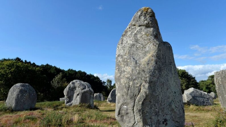 Illustration. Le site des menhirs de Carnac enlaidi par l'installation de plots sur la route jouxtant le site de Ménec. (Crédit photo MIGUEL MEDINA/AFP via Getty Images)