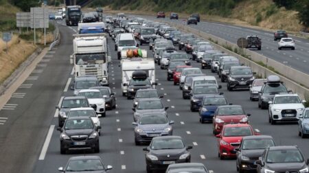 Accident de la circulation sur l’A43: bovins morts, fusil d’assaut sur la chaussée et fiché S en fuite