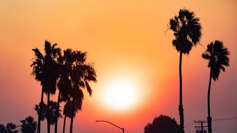 Coucher de soleil brumeux lors de l'incendie de Silverado à Long Beach, Californie, le 3 décembre 2020. (John Fredricks/Epoch Times)