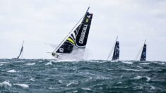 Transat Jacques-Vabre: les Imoca prennent enfin le large