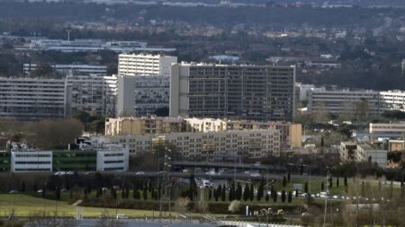 Des vigiles privés patrouillent pour éloigner les dealers des immeubles sociaux