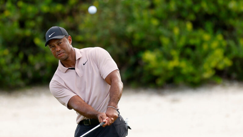 Tiger Woods, au 15e trou pendant le premier tour du Hero World Challenge au Albany Golf Course, le 30 novembre 2023 à Nassau. (Photo : Mike Ehrmann/Getty Images,)