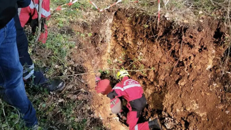 Les pompiers ont sauvé un âne âgé de deux semaines tombé dans un trou de plusieurs mètres de profondeur dans la commune de Tourrettes-sur-Loup (Alpes-Maritimes). (photo SDIS 83)