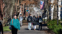 Mais que se passe-t-il donc à Harvard?