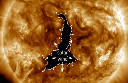 Le pic d'activité de notre étoile est désormais imminent. (Crédit de l'image: NASA)