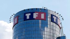 TF1: «Bonjour !» et le nouveau «Plus belle la vie» démarrent fort