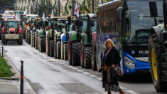 Circulation bloquée sur A64 par une manifestation d’agriculteurs