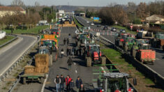 Blocage de l’A64 et des accès à la centrale de Golfech par les agriculteurs