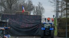 Mobilisation des agriculteurs: une agricultrice décédée, son mari et sa fille gravement blessés sur un barrage routier