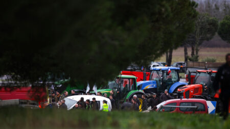 Agricultrice et sa fille tuées: un délai accordé aux deux passagères expulsables