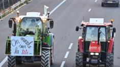 Colère des agriculteurs: la taxe sur le gazole critiquée et désapprouvée