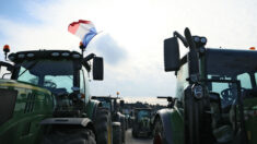 Colère des agriculteurs: 18 personnes interpellées près de Rungis, les forces de l’ordre déployées sur l’A6