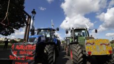 «On connaît tous un agriculteur qui est passé à l’acte, malheureusement»: un agriculteur se suicide tous les 2 jours