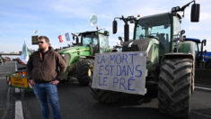 « Le gouvernement se planque derrière cette loi Egalim »: 60% des revenus agricoles sont exclus du champ actuel