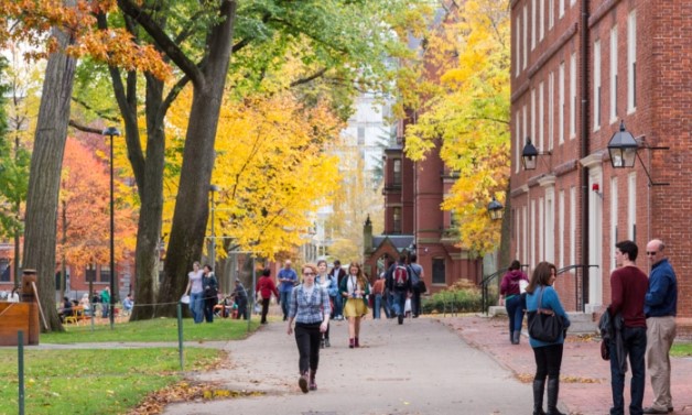 Une étude menée par l'universitaire canadien David Haskell révèle que les formations sur la diversité, l'équité et l'inclusion (DEI) font plus de mal que de bien. (Jannis Tobias Werner/Shutterstock)