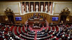 Inscription de l’IVG dans la Constitution : un vote crucial au Sénat où les débats s’annoncent tendus