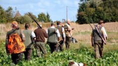 Un chasseur prend un cycliste pour un sanglier et lui tire dessus, le blessant gravement