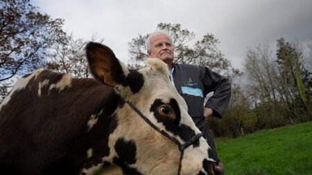 L’éleveur d’Oreillette, égérie du Salon de l’agriculture, défend la race normande