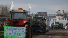 Les raisons de la colère agricole