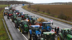 «Notre foi nous appelle à la solidarité»: les évêques plus que jamais aux côtés des agriculteurs