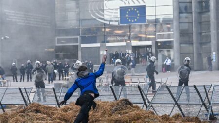 Les agriculteurs se mobilisent à Bruxelles où Emmanuel Macron et Ursula von der Leyen s’entretiennent sur le « futur de l’agriculture européenne »