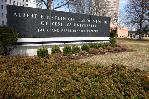 L'Albert Einstein College of Medicine, le 26 février 2024 dans le quartier de Morris Park dans l'arrondissement du Bronx de la ville de New York.  (Michael M. Santiago/Getty Images)