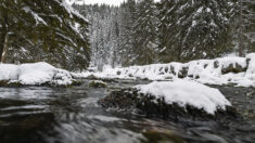 Doubs: une septuagénaire secourue après être restée coincée 20 heures dans l’eau glacée à la suite d’une chute