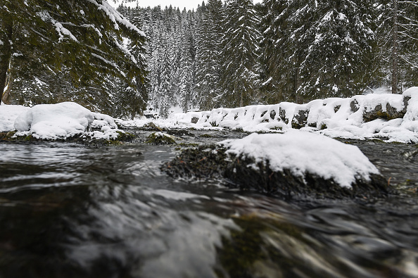 La source du Doubs.   (SEBASTIEN BOZON/AFP via Getty Images)